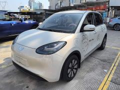 Wuling Binguo 333km Joy Edition - ფოტო 1