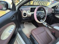 Wuling Binguo 333km Joy Edition - ფოტო 15
