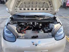 Wuling Binguo 333km Joy Edition - ფოტო 19