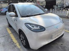 Wuling Binguo 333km Joy Edition - ფოტო 3