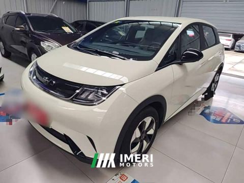 2026 BYD Dolphin 420km Freedom Edition - ავტომობილი ჩინეთიდან