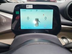 BYD Dolphin 420km Freedom Edition - ფოტო 11
