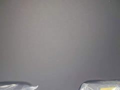 BYD Dolphin 420km Freedom Edition - ფოტო 17