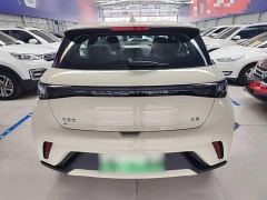 BYD Dolphin 420km Freedom Edition - ფოტო 5