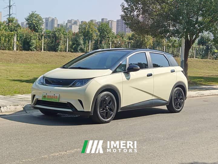 BYD Dolphin 405km Fashion Edition - ავტომობილი ჩინეთიდან