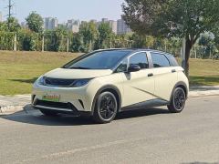 BYD Dolphin 405km Fashion Edition - ფოტო 1