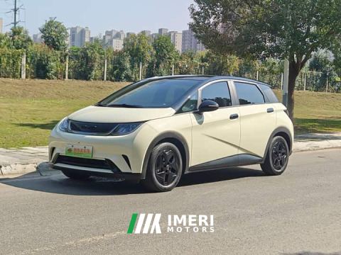 2023 BYD Dolphin 405km Fashion Edition - автомобиль из Китая