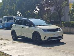 BYD Dolphin 405km Fashion Edition - ფოტო 4