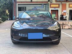 Tesla Model Y Rear-Wheel Drive - ფოტო 2