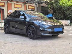 Tesla Model Y Rear-Wheel Drive - ფოტო 3