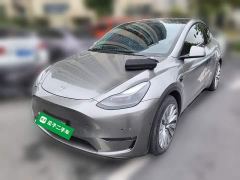 Tesla Model Y Long Range All-Wheel Drive - ფოტო 1