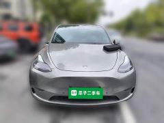 Tesla Model Y Long Range All-Wheel Drive - ფოტო 2