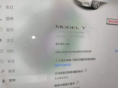 Tesla Model Y Long Range All-Wheel Drive - ფოტო 8