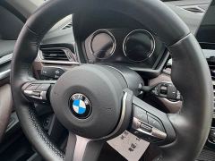 BMW X1 sDrive25Li Leading Edition - photo 9