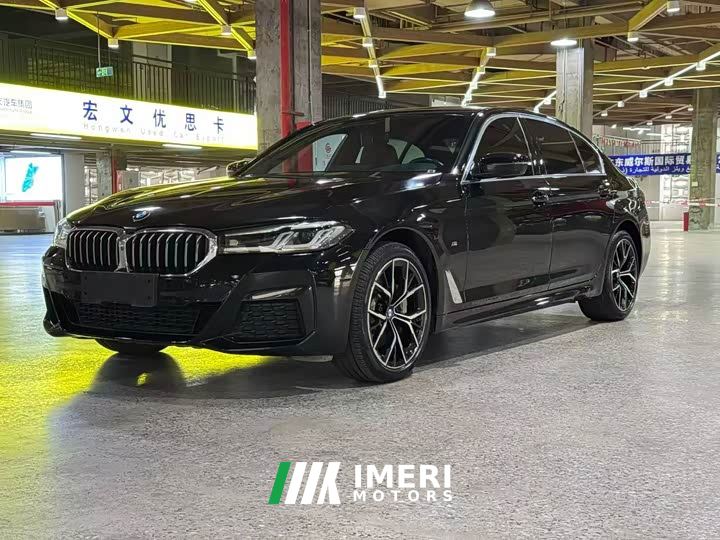 BMW 5 Series 530Li Luxury M Sport Package - car from China