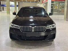 BMW 5 Series 530Li Luxury M Sport Package - photo 11