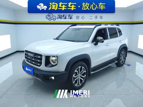 2021 Great Wall Dachshund 1.5T DCT Two-Wheel Drive Malinois-Wangcai Edition - car from China