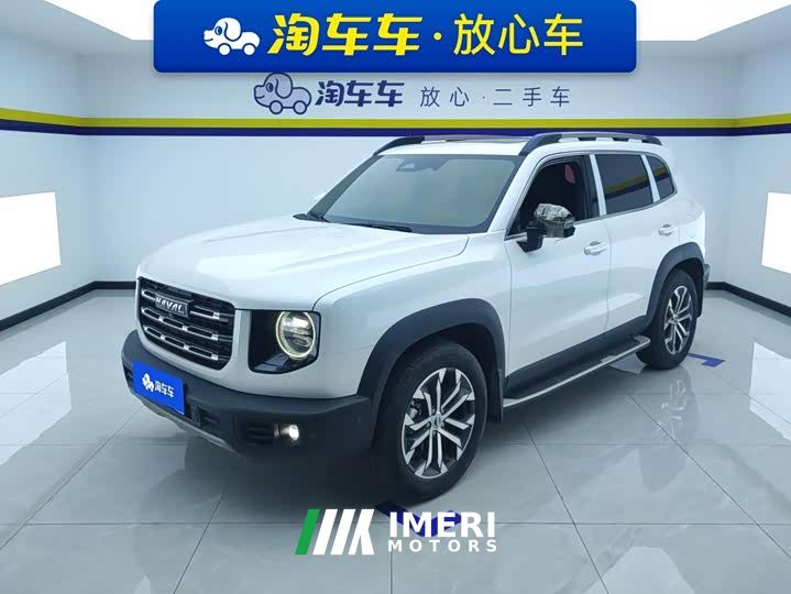 Great Wall Dachshund 1.5T DCT Two-Wheel Drive Malinois-Wangcai Edition