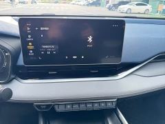 Geely Xingrui 2.0T Diesel Premium Edition - photo 19