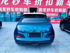 ORA Good Cat 400km Standard Range Athena Edition LFP Battery - photo 8