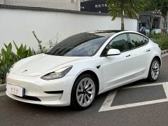 Tesla Model 3 Standard Range RWD Upgrade - ფოტო 1