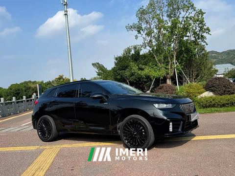 2021 Great Wall WEY VV7 New Energy PHEV 2.0T Flagship - car from China