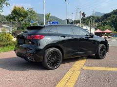 Great Wall WEY VV7 New Energy PHEV 2.0T Flagship - photo 11