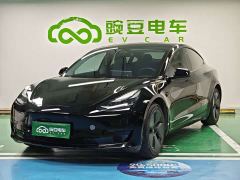 Tesla Model 3 Standard Range RWD Upgrade - photo 1