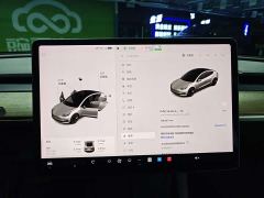 Tesla Model 3 Standard Range RWD Upgrade - photo 11