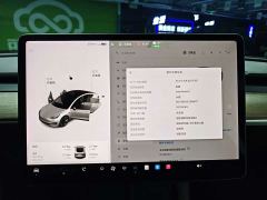 Tesla Model 3 Standard Range RWD Upgrade - photo 12