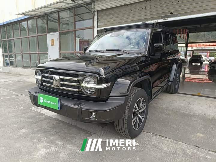 Tank 300 City Edition 2.0T Stylish - car from China