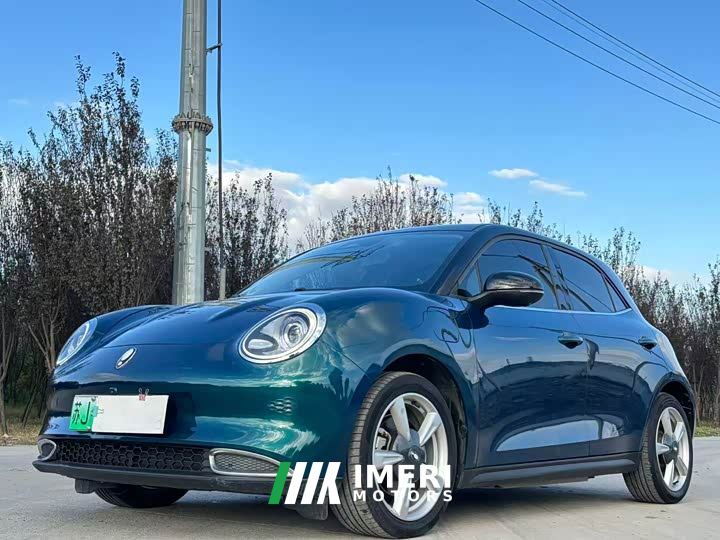 ORA Good Cat 400km Standard Range Venus Edition LFP Battery - автомобиль из Китая