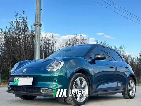 2021 ORA Good Cat 400km Standard Range Venus Edition LFP Battery - car from China