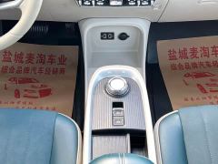 ORA Good Cat 400km Standard Range Venus Edition LFP Battery - фото 13
