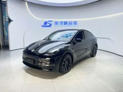 Tesla Model Y Long Range All-Wheel Drive - ფოტო 1