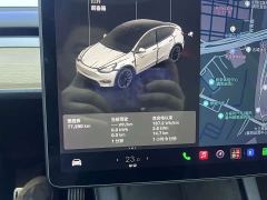 Tesla Model Y Long Range All-Wheel Drive - ფოტო 9