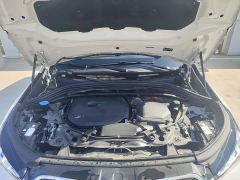 BMW X1 sDrive25Li X Design Package - ფოტო 11