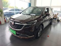 Buick GL8 ES Land Respect 653T Respect Enjoyment Edition - photo 1
