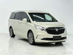 Buick GL8 ES Land Respect 653T Luxury - ფოტო 3
