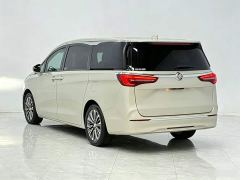 Buick GL8 ES Land Respect 653T Luxury - ფოტო 4