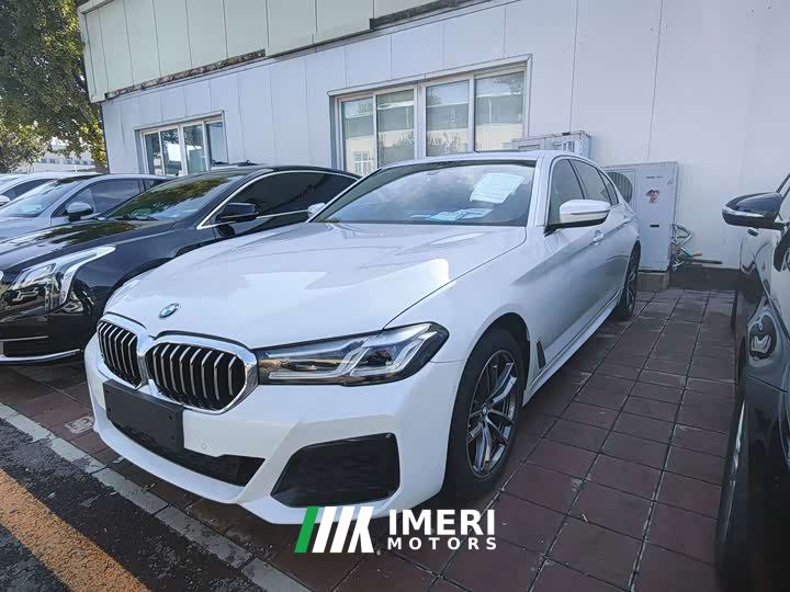 BMW 5 Series 530Li Luxury Edition Luxury Edition - автомобиль из Китая