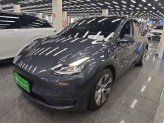 Tesla Model Y Long Range All-Wheel Drive - ფოტო 1