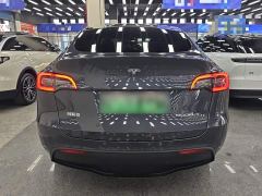 Tesla Model Y Long Range All-Wheel Drive - ფოტო 5