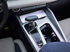 Geely Xingrui 2.0T Diesel Premium - ფოტო 7