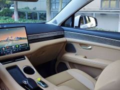 AITO Aion M5 Extended Range AWD Flagship - ფოტო 6