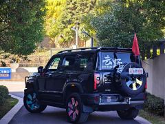 Beijing Jeep BJ40 Extended Range Advanced Edition - photo 6