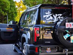 Beijing Jeep BJ40 Extended Range Advanced Edition - photo 7