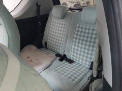 Chery Ant Sweet Pink Half-Sugar Ternary Lithium 30kW 301km - фото 11