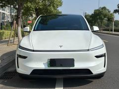 Tesla Model Y Rear-Wheel Drive - фото 2