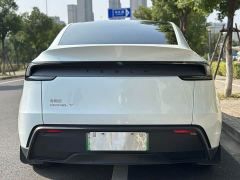 Tesla Model Y Rear-Wheel Drive - фото 5